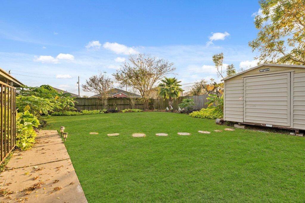 Back yard