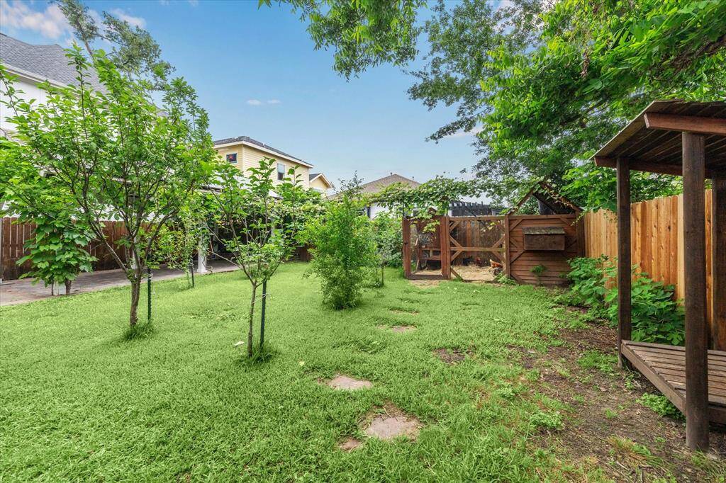 On the property there are pear trees, an apple tree, fig trees, a plum tree, olive trees and a pomegranate tree!
