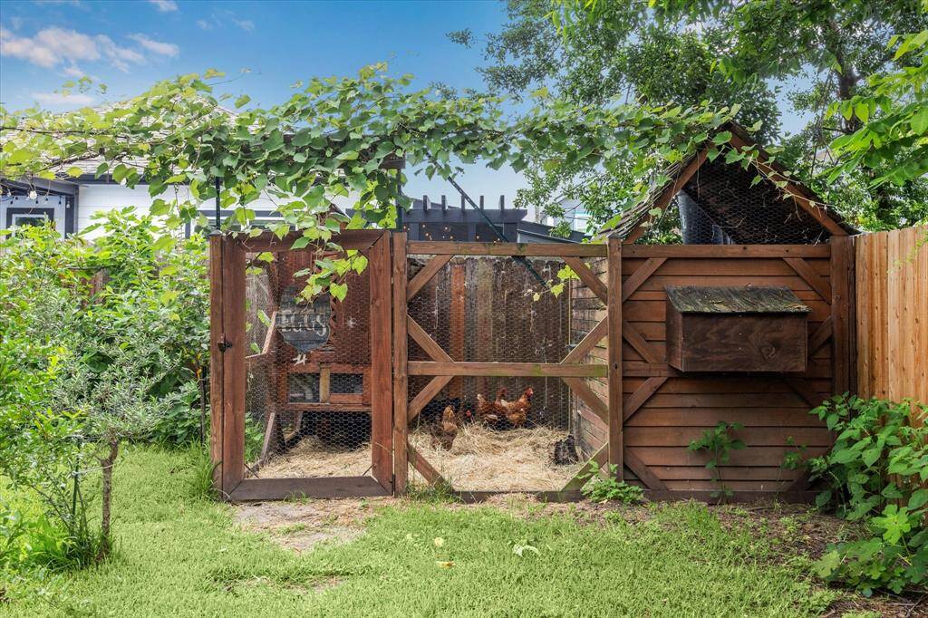 Picture perfect chicken coop! Imagine waking up each morning and being able to collect eggs from the coop. *The hens can be rehomed if the buyer does not want to keep them.