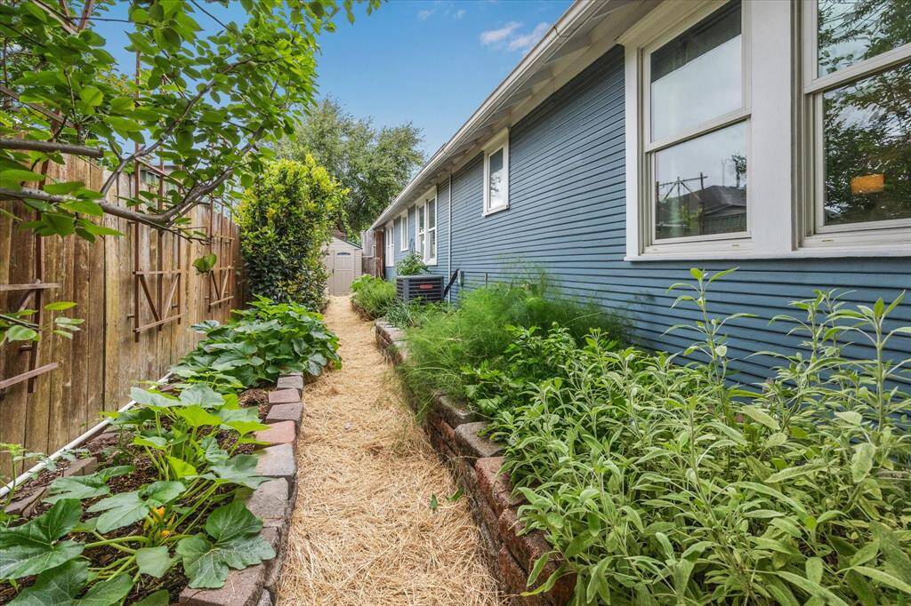 Another view of the organic vegetable garden.