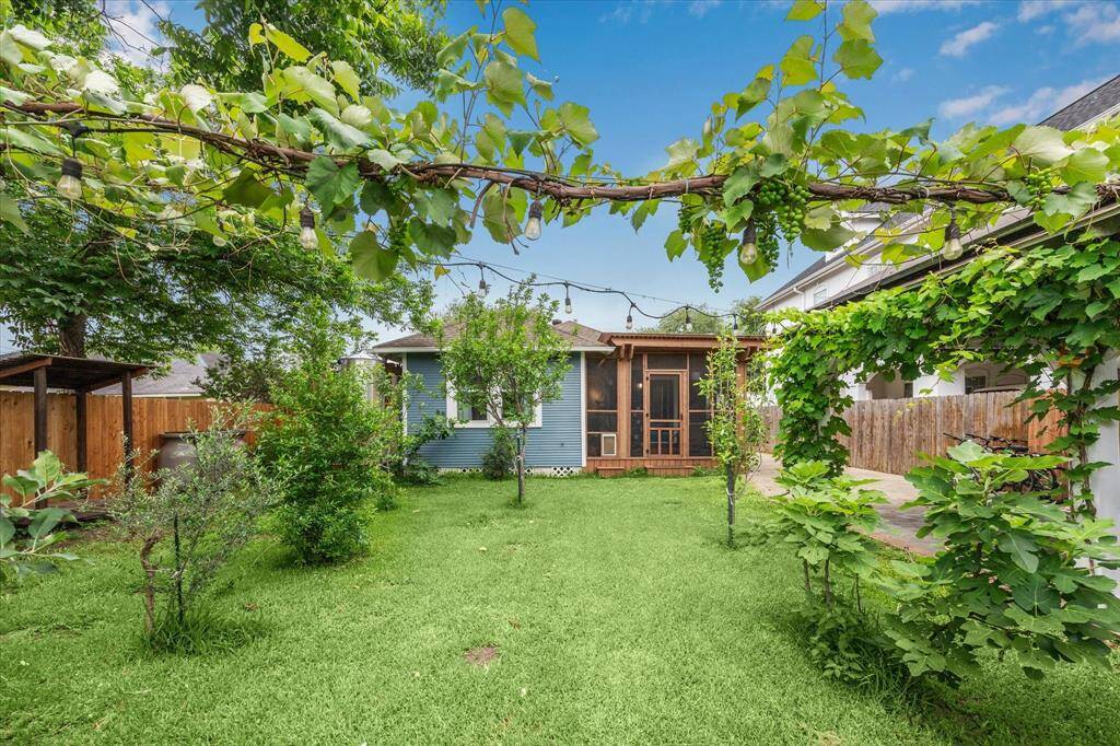 The backyard is filled with fruit trees and grape vines and still has green space to run and play!