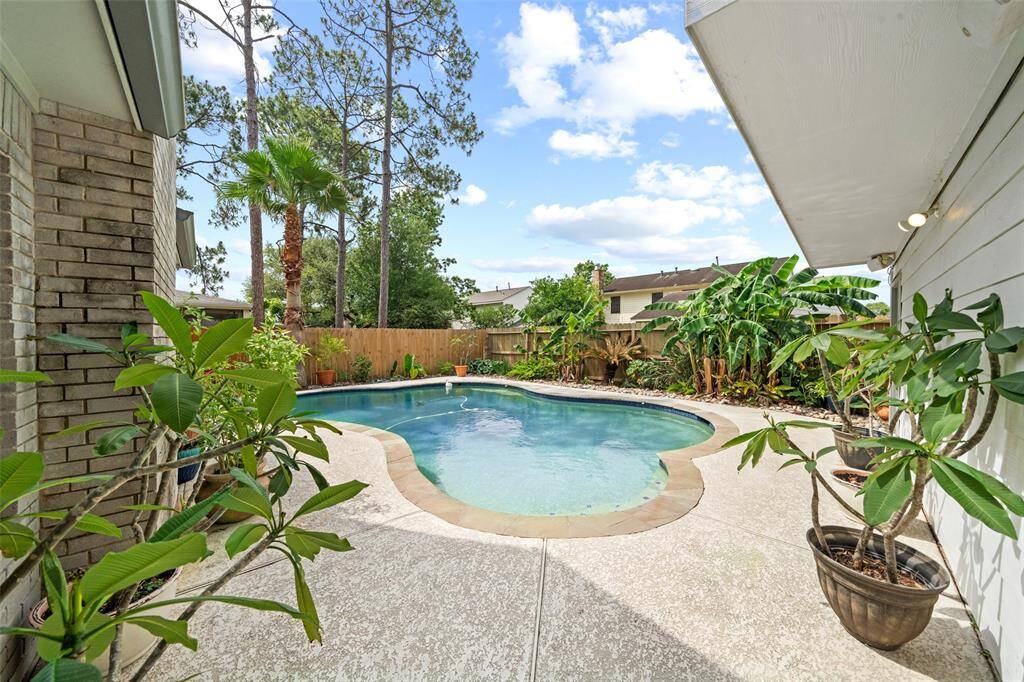 Backyard Oasis