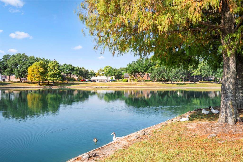 Neighborhood Pond