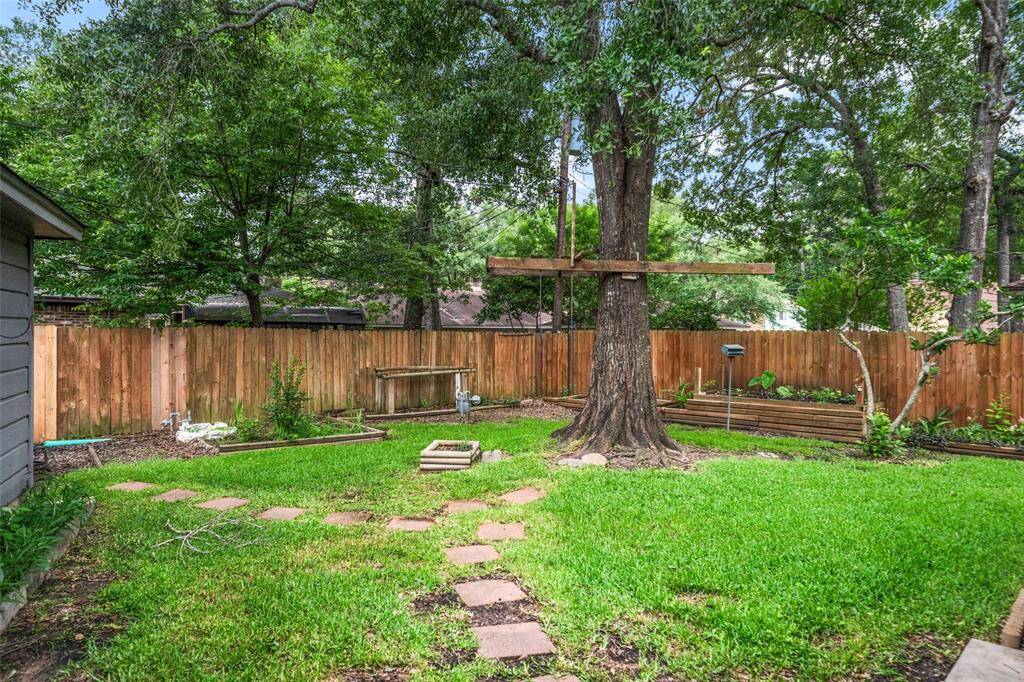 Backyard.