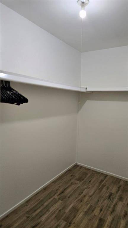 One of two spacious primary bedroom closets