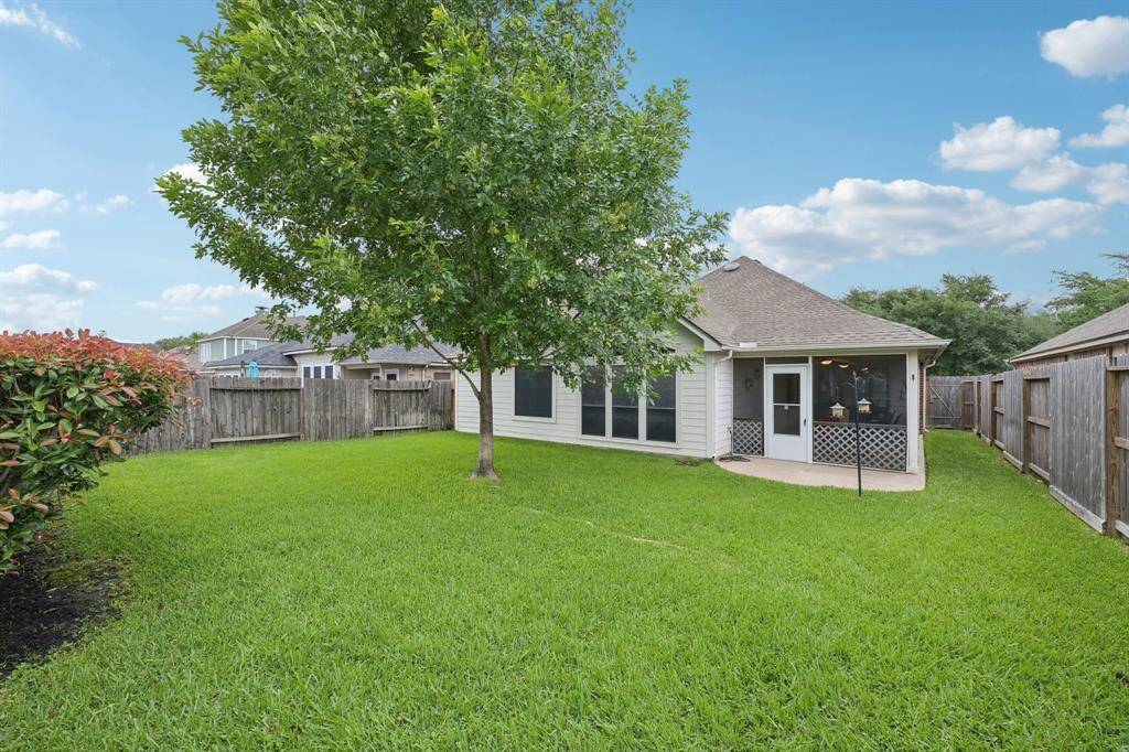Nice sized back yard with beautiful tree.