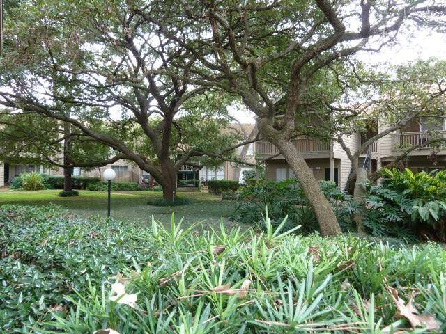 Gorgeous Mature Trees Within this community.