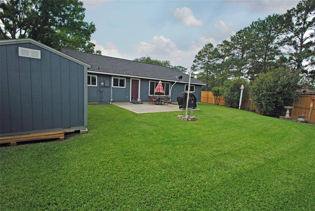 Back yard