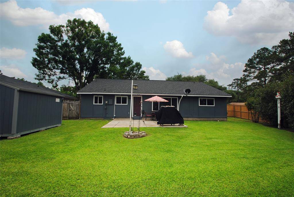 Back yard