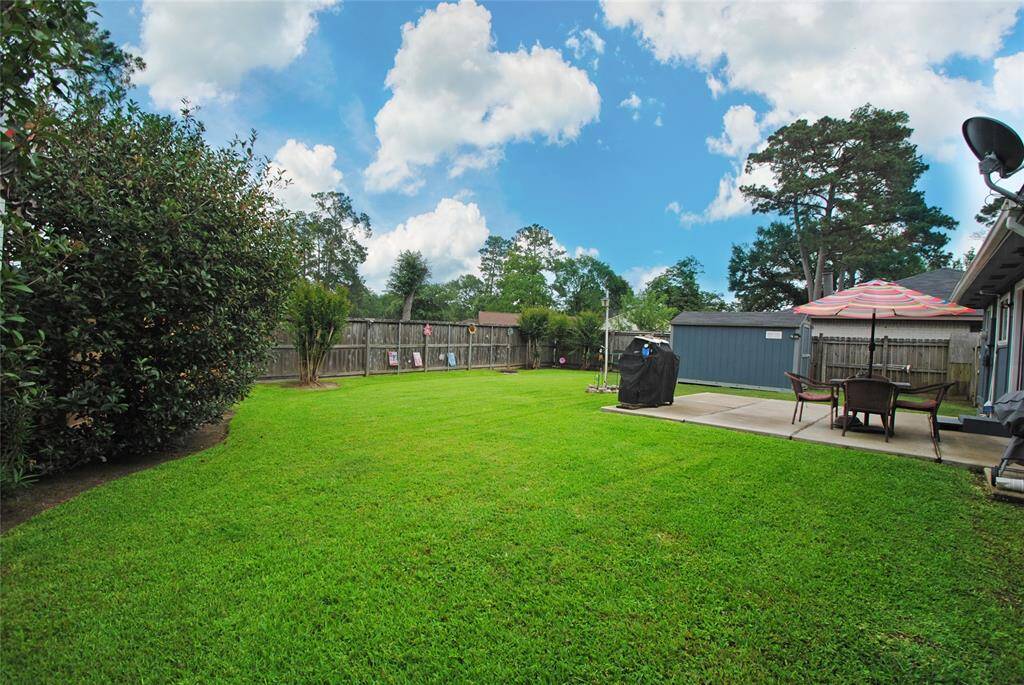 Back yard