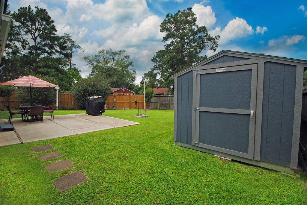 Back yard