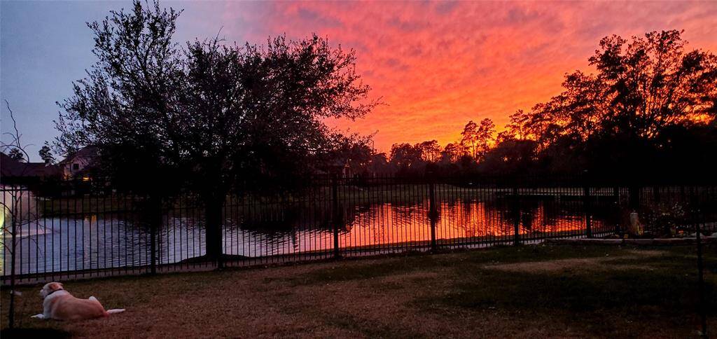 This is not a professional or edited shot!  This is almost a daily thing. The sunset views here are absolutely amazing!