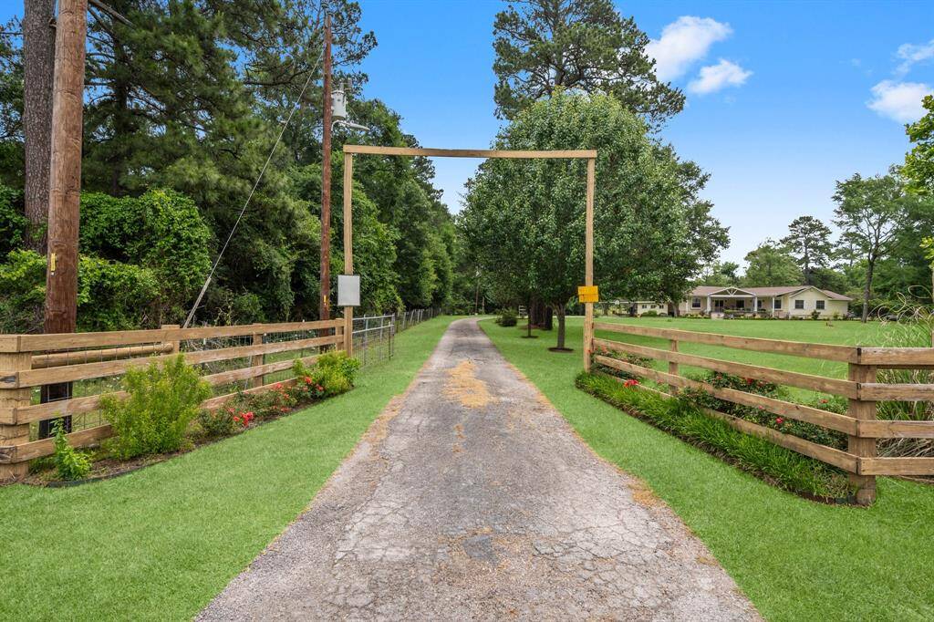 Long, tree-lined driveway leading to the home, flanked by lush greenery creating a welcoming and private entrance.
