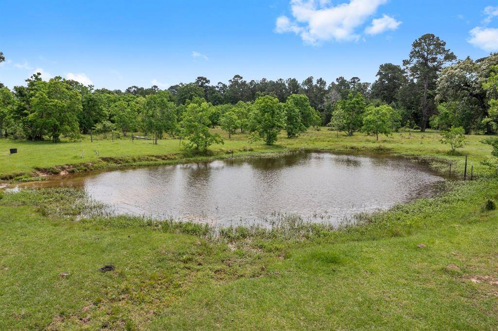 Serene pond perfect for fish and livestock.