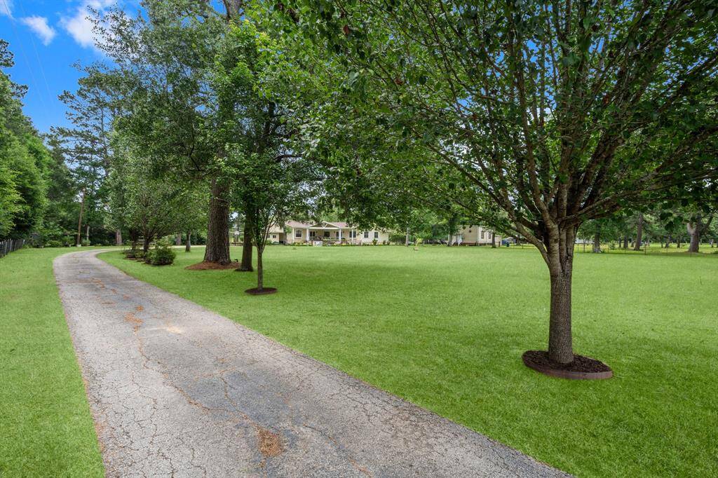 A scenic view of the long, tree-lined driveway leading to a charming home, set amidst a spacious and well-maintained lawn. Ideal for those seeking privacy and nature.