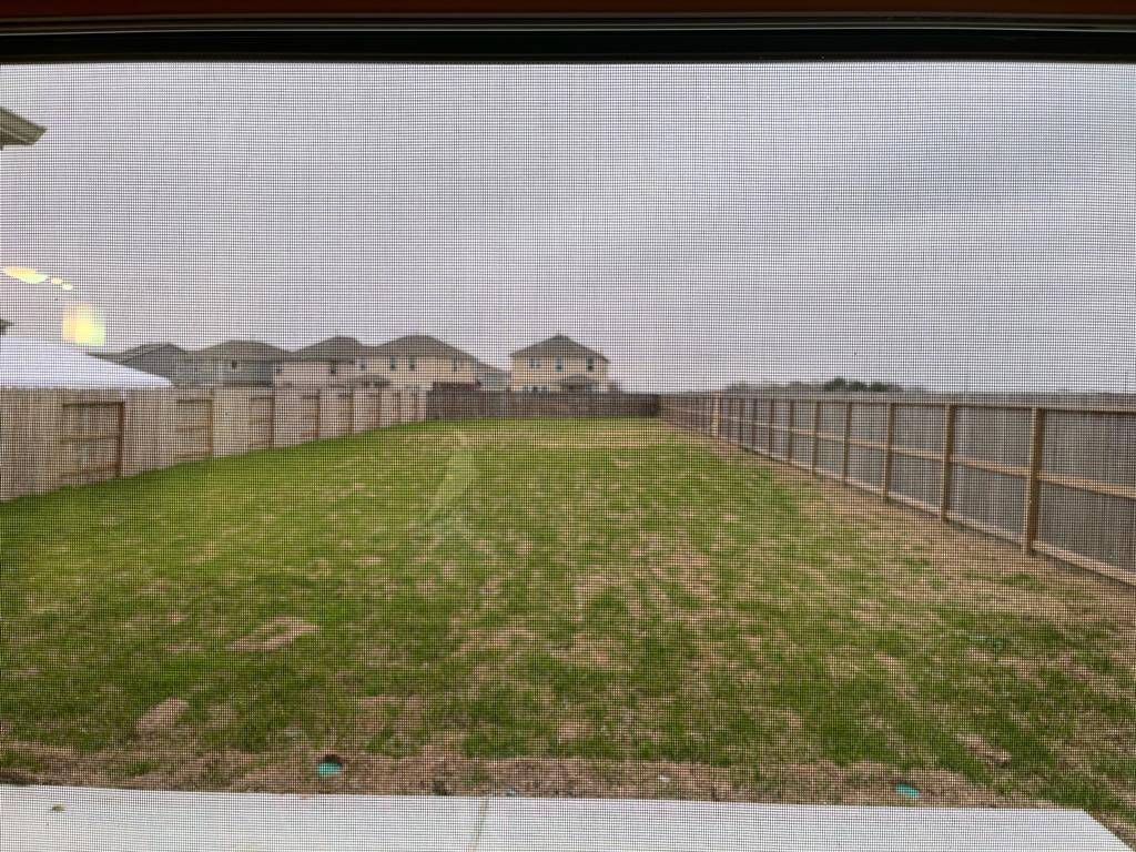 Backyard