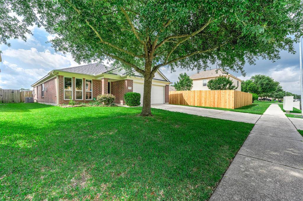 Large Front Lawn Area With Mature Tree For Shade.