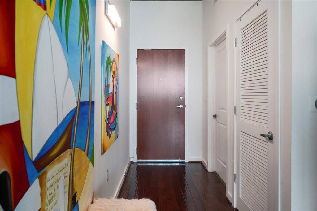 Entrance door and hallway