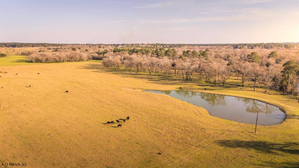 1 of 2 additional water features. Located in the North Pasture