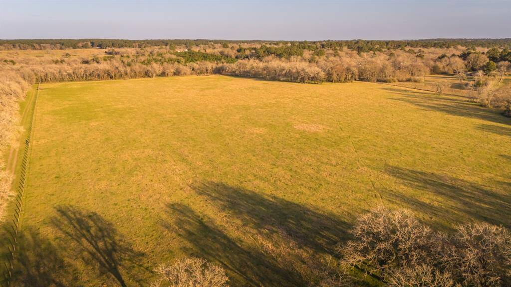 South Pasture