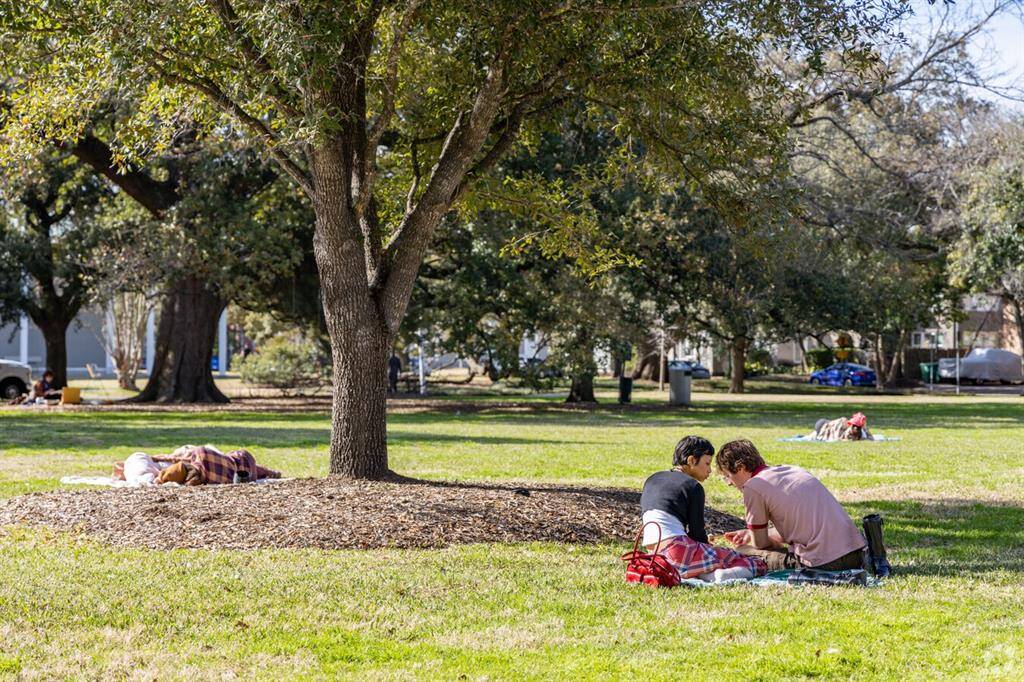 For those who enjoy outdoor activities, Montrose offers access to Buffalo Bayou Park, a 160-acre green space perfect for biking, kayaking, or leisurely strolls. The park provides a natural escape within the urban landscape, allowing residents to connect with nature without leaving the city .Condé Nast Traveler