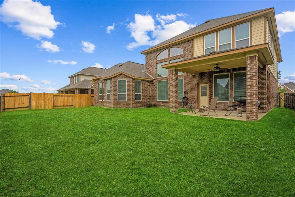 View of the backyard