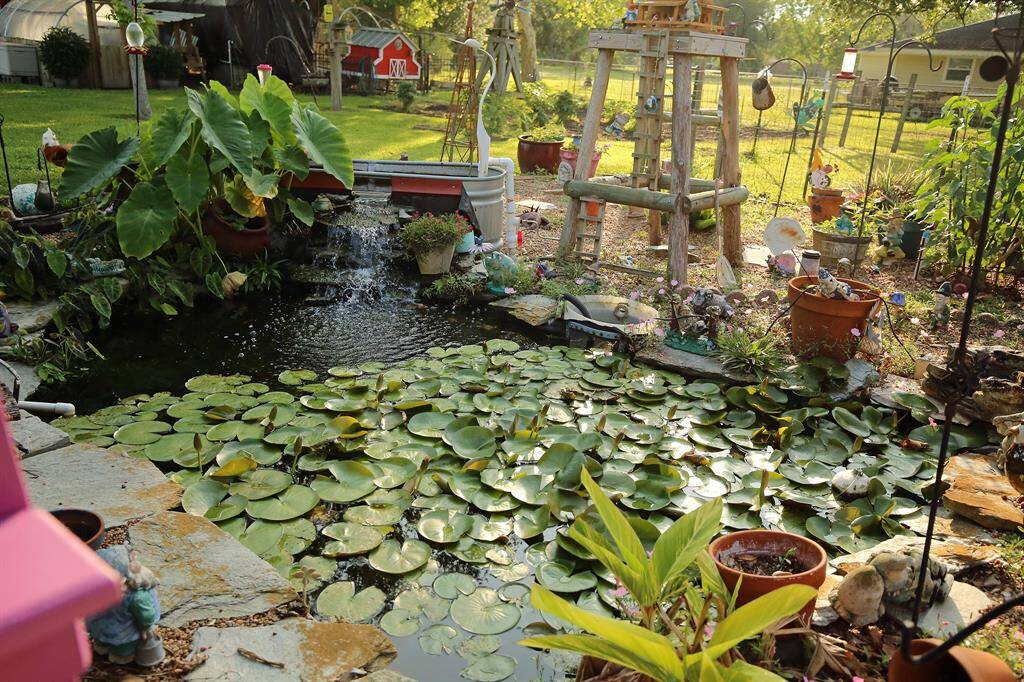 Relaxing Backyard!