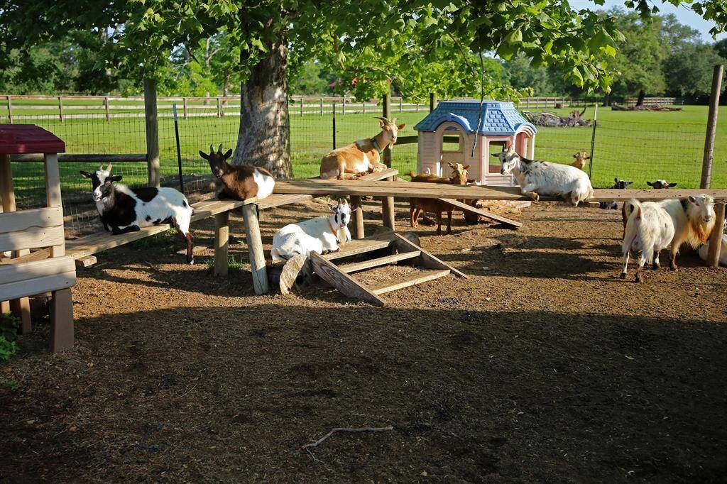 Mini Farm just Waiting on the New Owners!