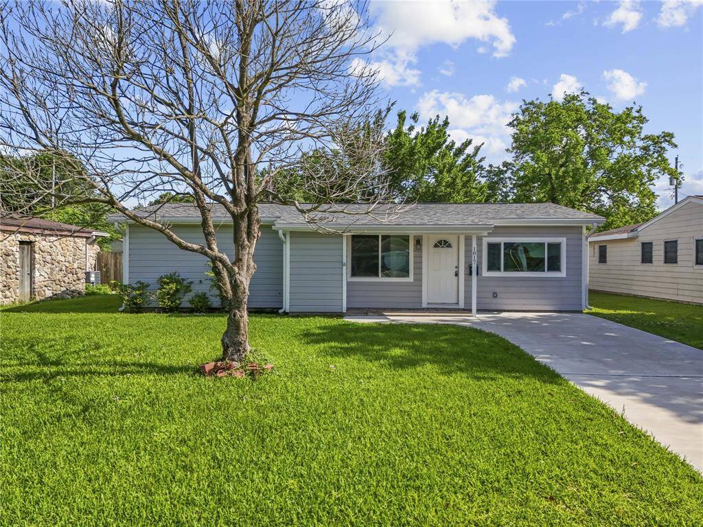 Front lawn and driveway view