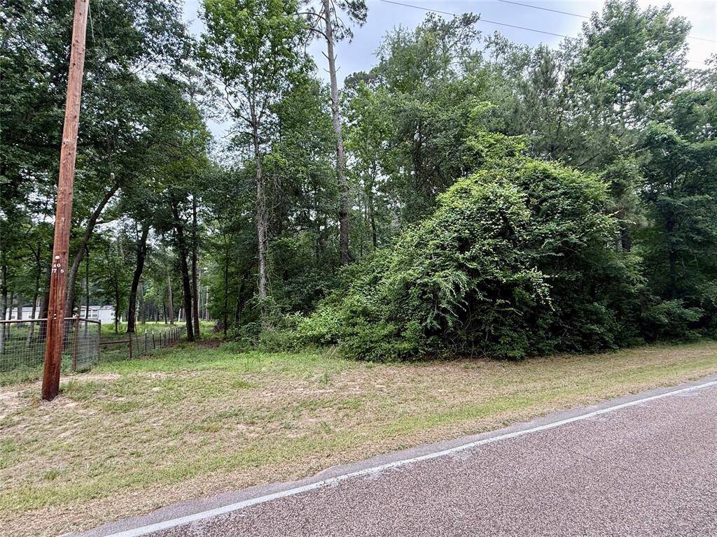 Looking down west property line