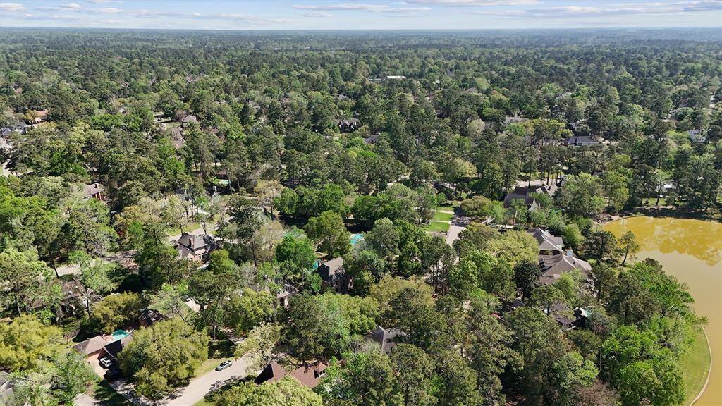 The Livable Forest!