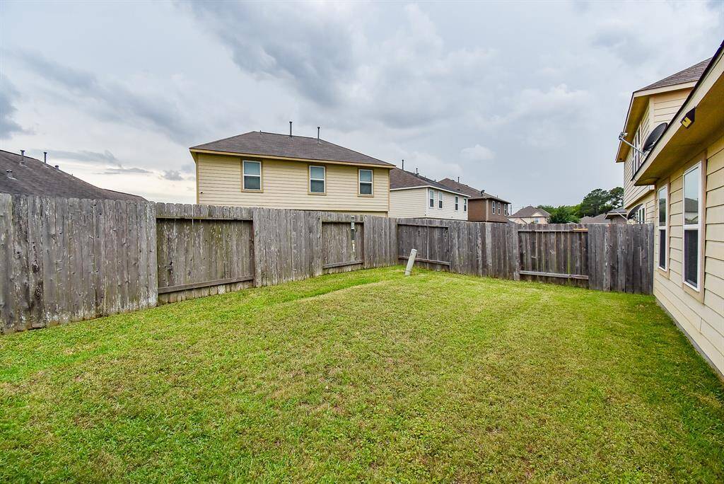 Another rear view of the yard