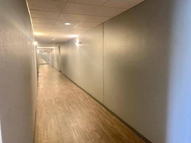 Condo hallway with laminate flooring going to the unit.