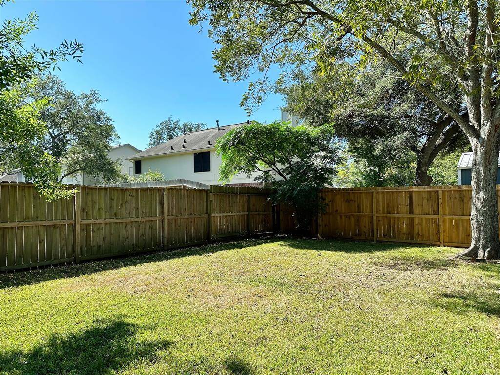 Another view of backyard.