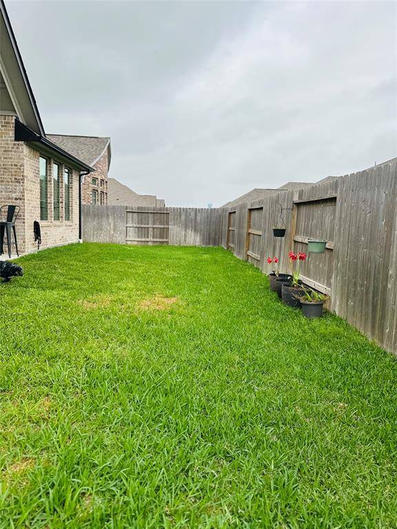 Back yard