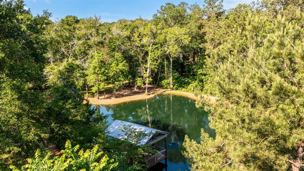 The tranquil pond is framed by a natural border of trees, offering peace and scenic beauty just beyond the doorstep.