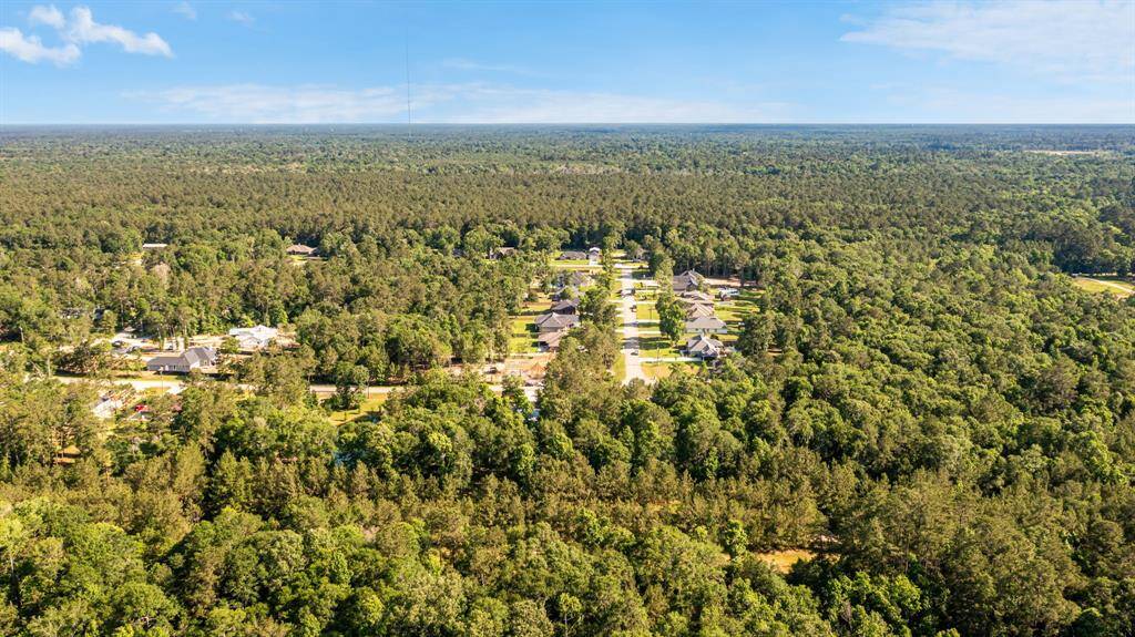 From above, the neighborhood reveals itself as a tranquil retreat, with tree-lined streets and a canopy of foliage.