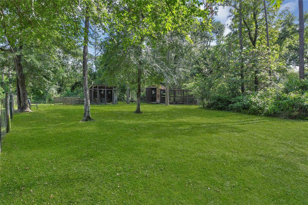 Property Image 41
