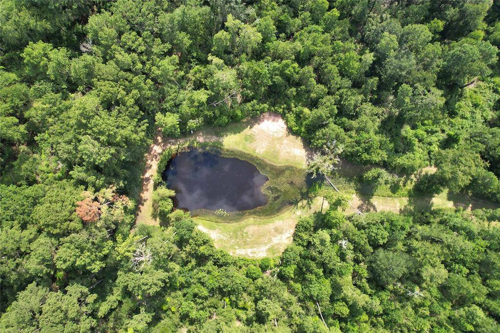 Aerial of pond surrounded by trees.