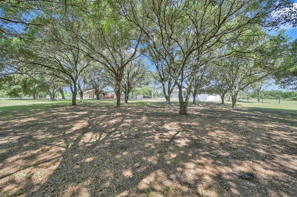 Mature trees providing ample shade and jaw dropping serenity
