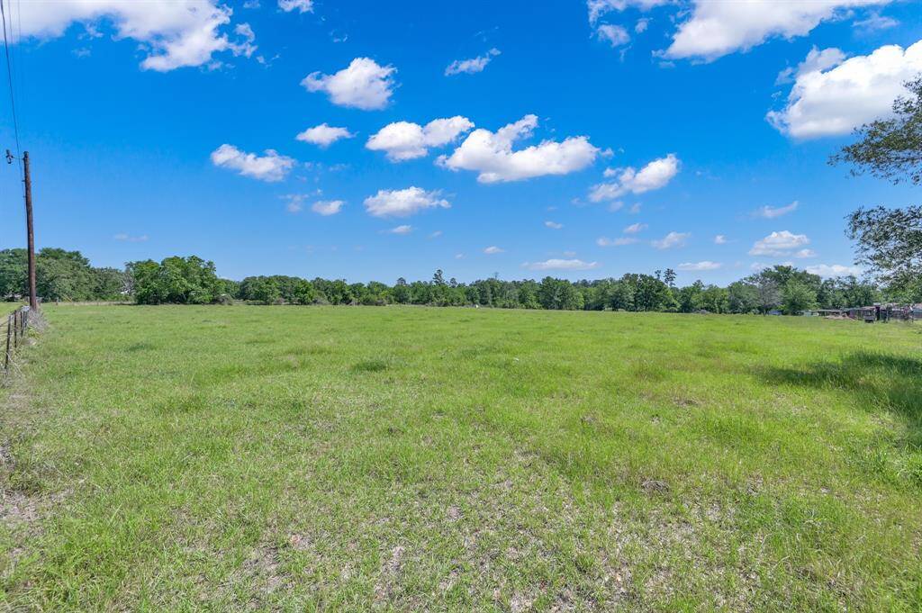 Expansive pasture under a bright blue sky cannot be beat!