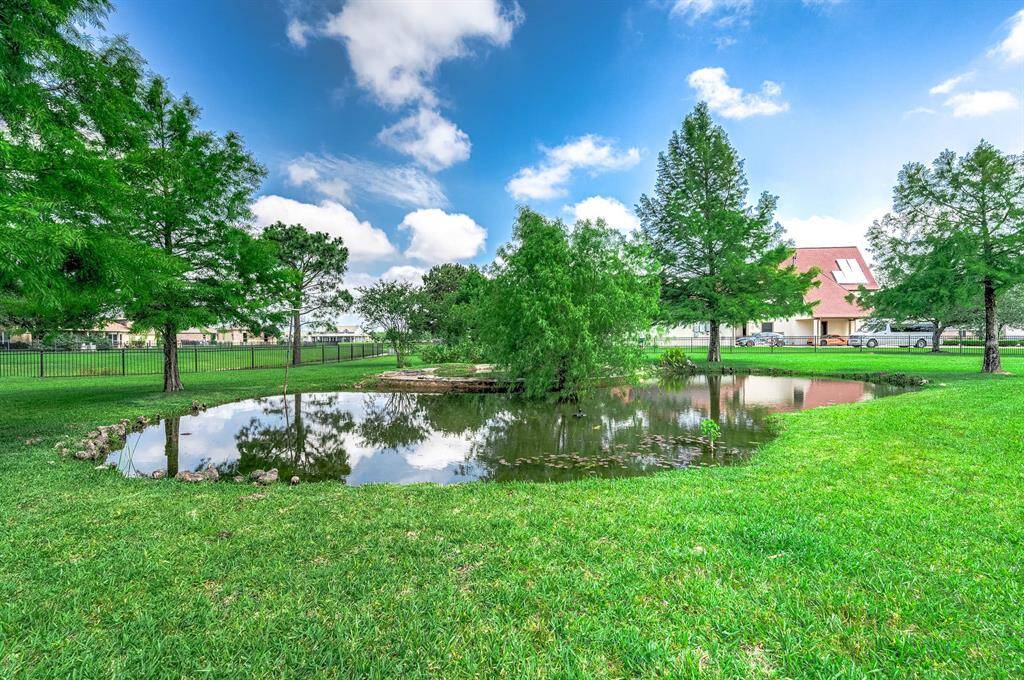Pond with Koy fish