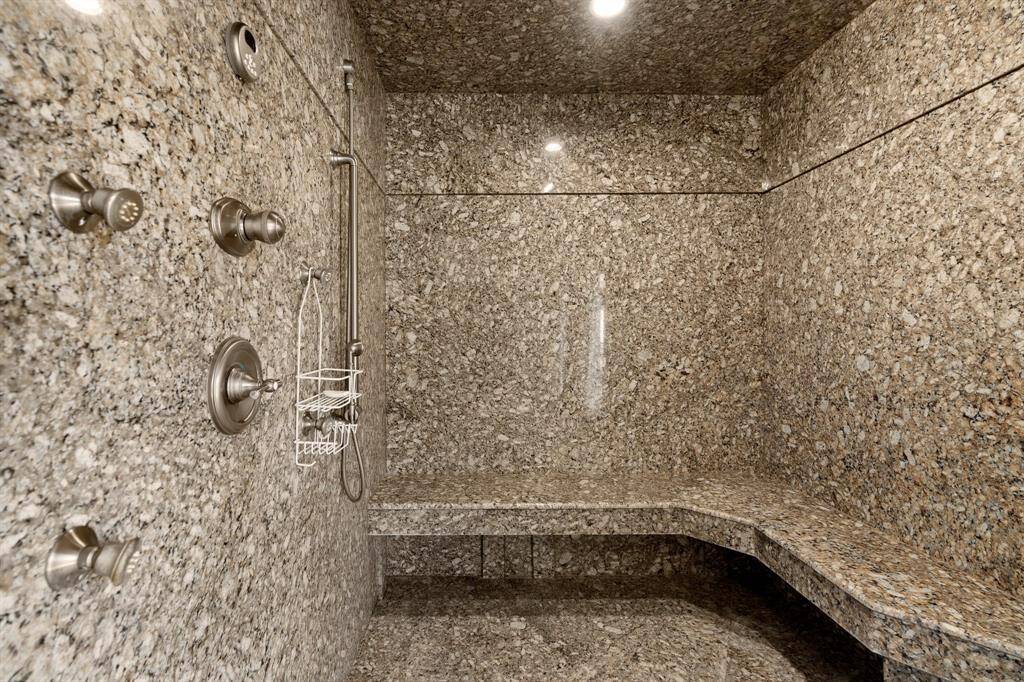 Primary Shower