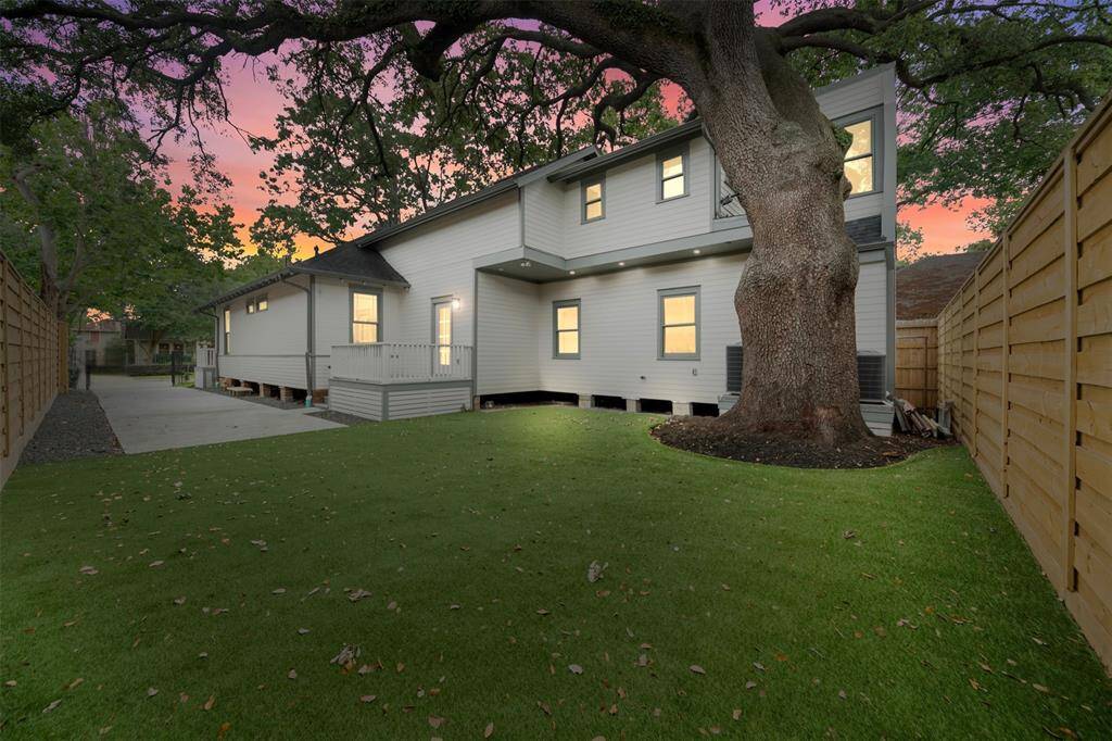 Century old oak tree offers natural beauty