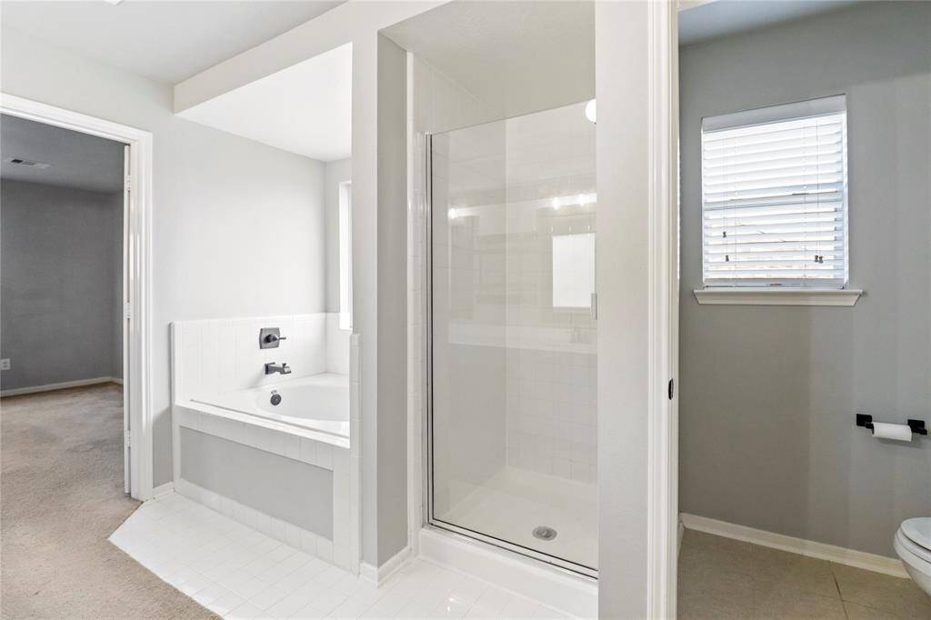 Primary Soaking Tub and Shower