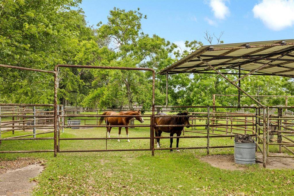 PIPE FENCING WITH COW CHUTE