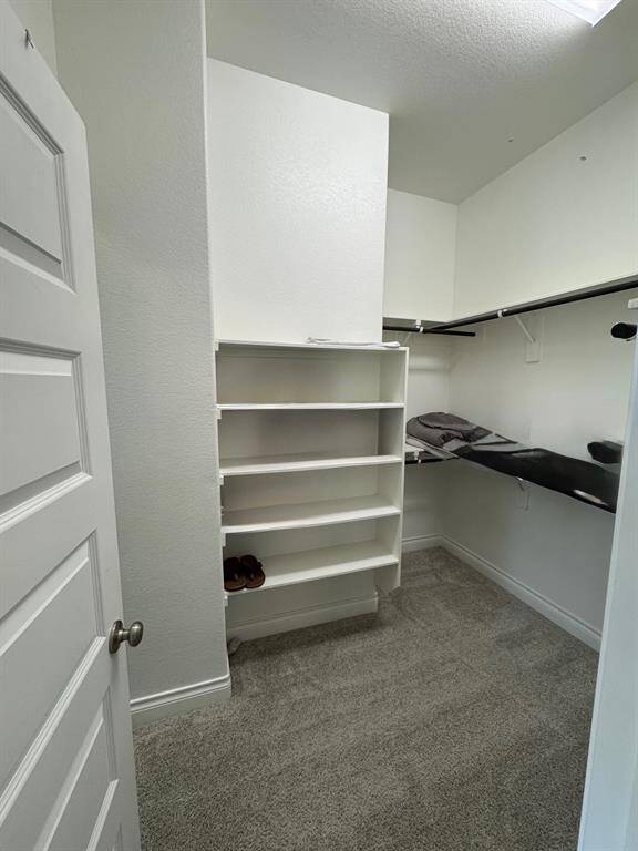 primary bedroom 1 of 2 closets