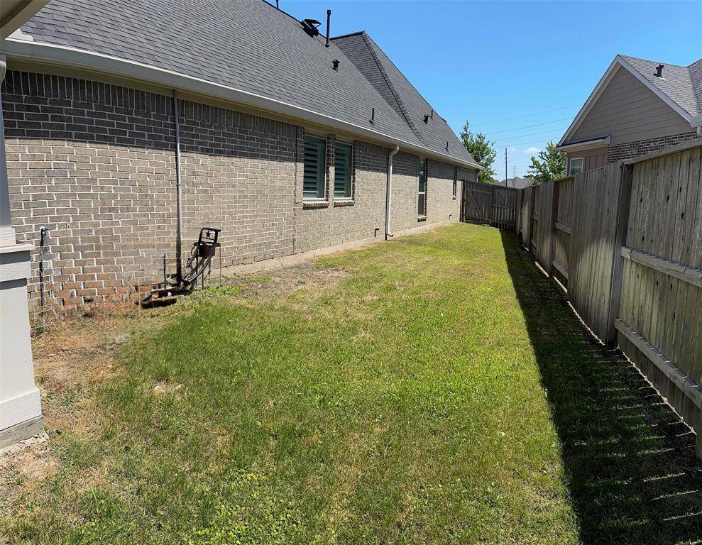 Side Yard