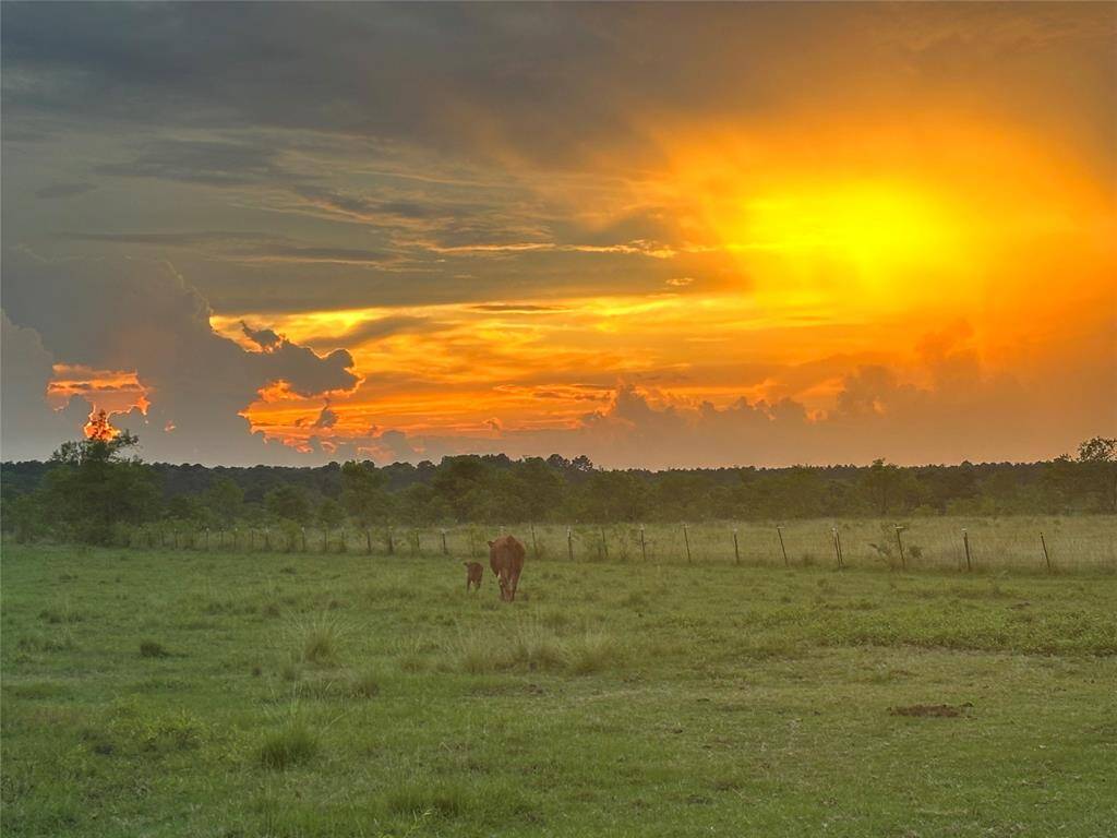 This photo showcases a serene rural landscape with open fields and a beautiful, vibrant sunset. Ideal for buyers seeking tranquility and natural beauty.