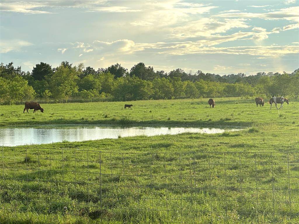 This serene rural scene features a lush green pasture with grazing cows, a tranquil pond, and a backdrop of dense trees under a partly cloudy sky, perfect for those seeking a peaceful countryside setting.